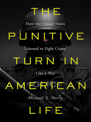 cover image of The Punitive Turn in American Life
